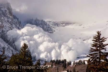 Avalanche Deaths